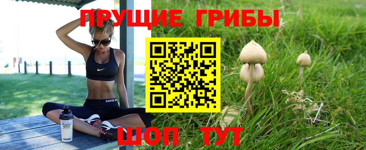 Псилоцибиновые грибы Cubensis  Галлюциногенные грибы ЛСД  Вход с VPN  Трёхгорный 