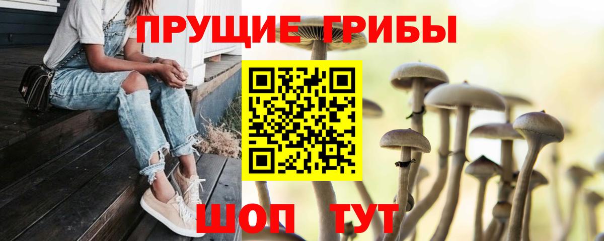 Псилоцибиновые грибы мухоморы Трёхгорный